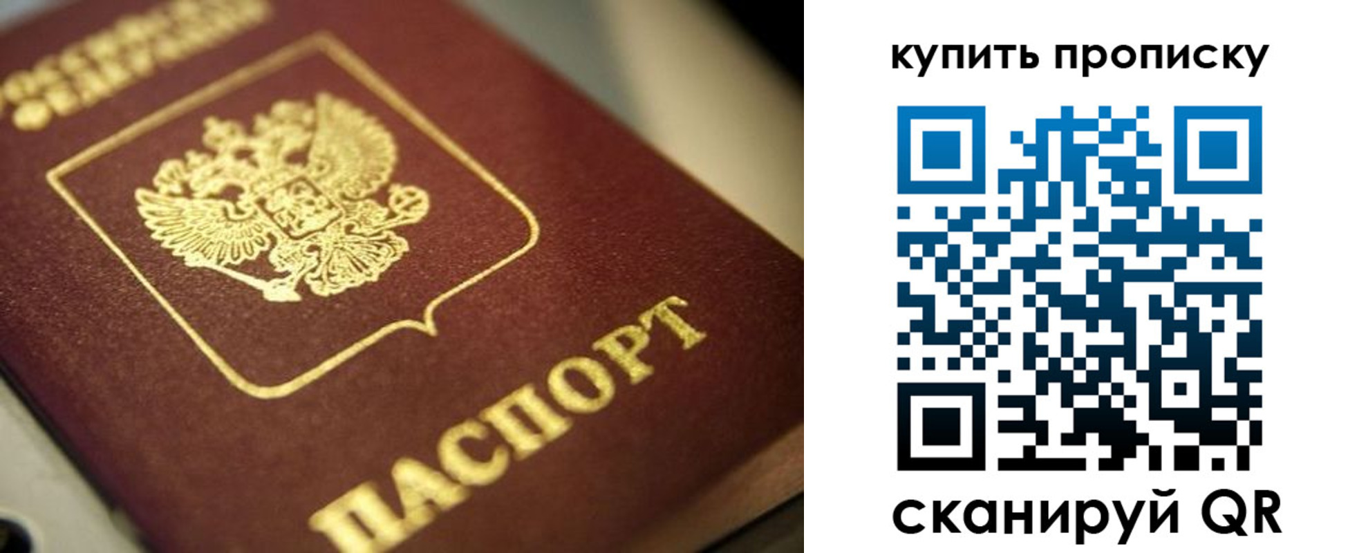 прописка поиск в Сургуте